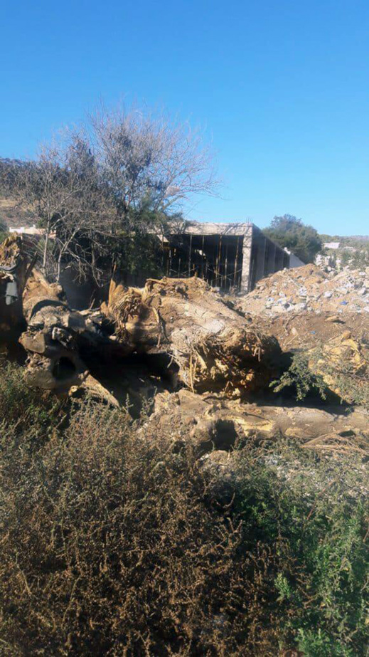 تشييد بنايات وسط طريق عمومية بأزغنغان ومطالب بهدمها وإرجاع العقار الى حالته الطبيعية تشييد بنايات وسط طريق عمومية بأزغنغان ومطالب بهدمها وإرجاع العقار الى حالته الطبيعية