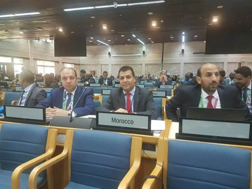 زارو يسلط الضوء بنيروبي على تجربة تهيئة موقع بحيرة مارشيكا زارو يسلط الضوء بنيروبي على تجربة تهيئة موقع بحيرة مارشيكا