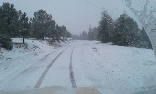 بالفيديو.. تساقطات ثلجية مهمة تغطي مناطق عدة باقليم الحسيمة بالفيديو.. تساقطات ثلجية مهمة تغطي مناطق عدة باقليم الحسيمة
