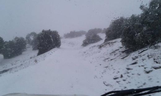 بالفيديو.. تساقطات ثلجية مهمة تغطي مناطق عدة باقليم الحسيمة بالفيديو.. تساقطات ثلجية مهمة تغطي مناطق عدة باقليم الحسيمة