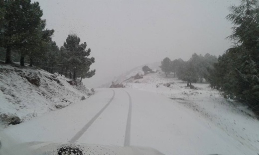 بالفيديو.. تساقطات ثلجية مهمة تغطي مناطق عدة باقليم الحسيمة بالفيديو.. تساقطات ثلجية مهمة تغطي مناطق عدة باقليم الحسيمة