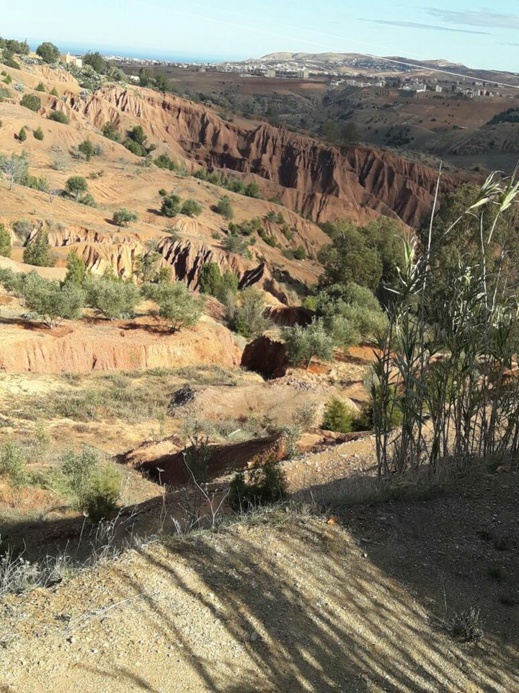 تمسمان.. مواطنون يتهمون مسؤولين بتعريض حياتهم للخطر بعد أن تركوا بئرا بعمق 35 مترا مشرعا وسط قريتهم تمسمان.. مواطنون يتهمون مسؤولين بتعريض حياتهم للخطر بعد أن تركوا بئرا بعمق 35 مترا مشرعا وسط قريتهم