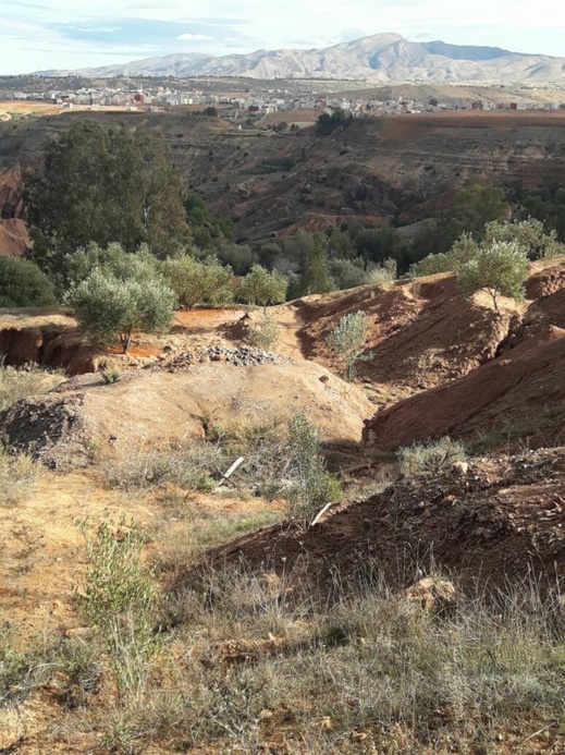تمسمان.. مواطنون يتهمون مسؤولين بتعريض حياتهم للخطر بعد أن تركوا بئرا بعمق 35 مترا مشرعا وسط قريتهم تمسمان.. مواطنون يتهمون مسؤولين بتعريض حياتهم للخطر بعد أن تركوا بئرا بعمق 35 مترا مشرعا وسط قريتهم