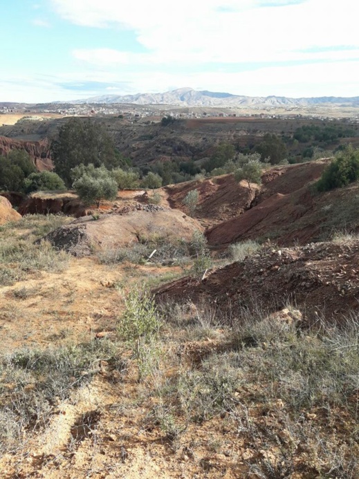 تمسمان.. مواطنون يتهمون مسؤولين بتعريض حياتهم للخطر بعد أن تركوا بئرا بعمق 35 مترا مشرعا وسط قريتهم تمسمان.. مواطنون يتهمون مسؤولين بتعريض حياتهم للخطر بعد أن تركوا بئرا بعمق 35 مترا مشرعا وسط قريتهم