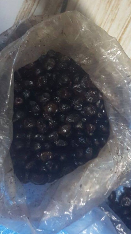 بالصور.. عناصر الأمن تعتقل مهاجرا مغربيا حاول تهريب "الحشيش" داخل حبات الزيتون بالصور.. عناصر الأمن تعتقل مهاجرا مغربيا حاول تهريب "الحشيش" داخل حبات الزيتون