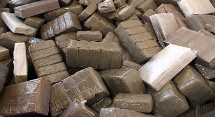 تحقيق: الحشيش يحرك 165 مليار درهما سنويا في الريف تذهب إلى جيوب كبار بارونات المخدرات تحقيق: الحشيش يحرك 165 مليار درهما سنويا في الريف تذهب إلى جيوب كبار بارونات المخدرات