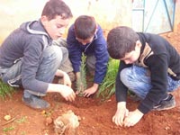 مجموعة مدارس بني مليكشن بتمسمان تنظم حملة غرس 200 شجرة مجموعة مدارس بني مليكشن بتمسمان تنظم حملة غرس 200 شجرة