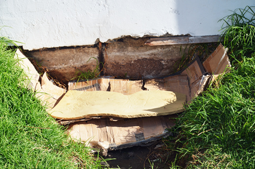 مختل عقلي يحول حياة العاملين بـ"المركز الاستشفائي" بالناظور إلى جحيم لا يطاق والسلطات مدعوة للتدخل مختل عقلي يحول حياة العاملين بـ"المركز الاستشفائي" بالناظور إلى جحيم لا يطاق والسلطات مدعوة للتدخل