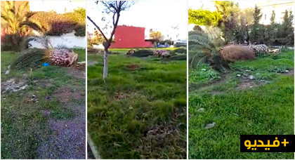 ساكنة "الفطواكي" متخوفة من الإجهاز على "حديقة" وسط حيها بعد تقطيع أشجارها وتدعو حوليش للتدخل