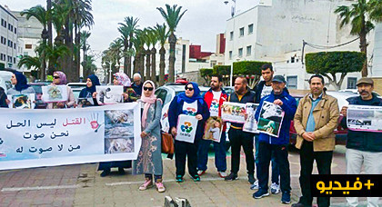 في سابقة من نوعها.. وقفة احتجاجية بالناظور للمطالبة بحماية الكلاب الضالة من الابادة التي تتعرض لها في سابقة من نوعها.. وقفة احتجاجية بالناظور للمطالبة بحماية الكلاب الضالة من الابادة التي تتعرض لها