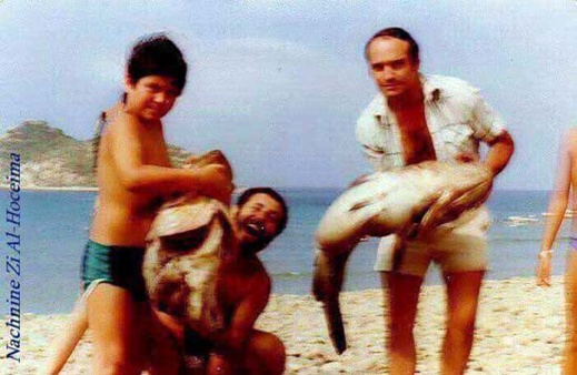 شاهدوا صورا نادرة لمدينة الحسيمة خلال خمسينيات وستينيات القرن الماضي شاهدوا صورا نادرة لمدينة الحسيمة خلال خمسينيات وستينيات القرن الماضي