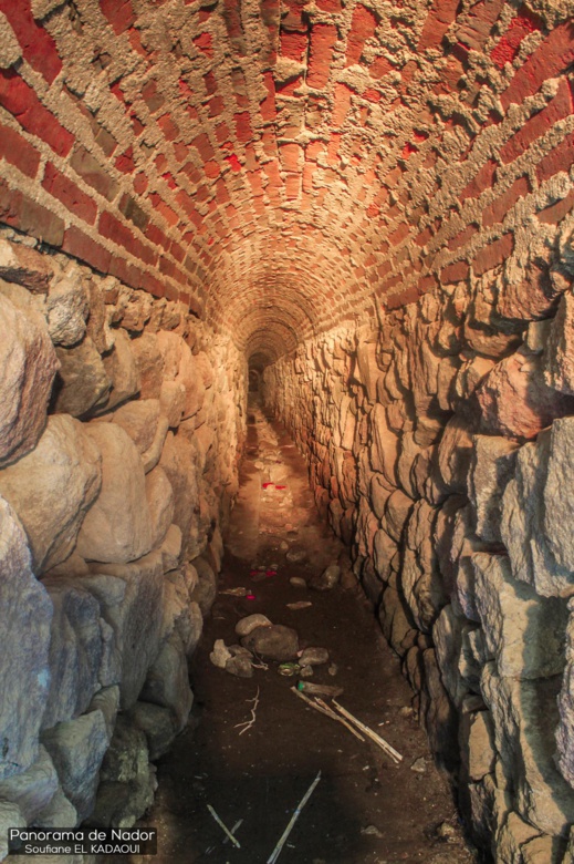 صوامع "إسكاجن" بأزغنغان.. تحف فنية يعود تاريخ تشييدها إلى عهد الاستعمار صوامع "إسكاجن" بأزغنغان.. تحف فنية يعود تاريخ تشييدها إلى عهد الاستعمار