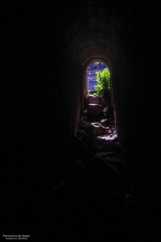 صوامع "إسكاجن" بأزغنغان.. تحف فنية يعود تاريخ تشييدها إلى عهد الاستعمار صوامع "إسكاجن" بأزغنغان.. تحف فنية يعود تاريخ تشييدها إلى عهد الاستعمار