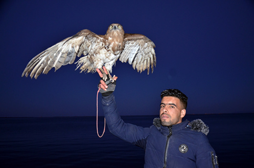 مؤثر.. هاته قصة الشاب الذي يتجول بنسر فوق كتفه في شوارع الناظور مؤثر.. هاته قصة الشاب الذي يتجول بنسر فوق كتفه في شوارع الناظور