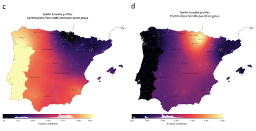 دراسة وراثية : الأسبان مختلطون بمغاربة الريف وليس العرب دراسة وراثية : الأسبان مختلطون بمغاربة الريف وليس العرب