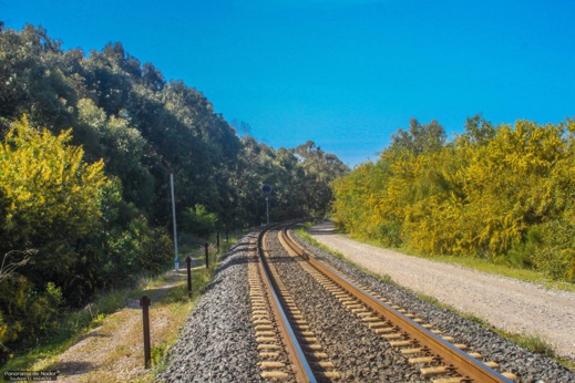 أجمل ما في الناظور.. إكتشفوا مناظر رائعة لمناطق متفرقة حول بحيرة مارتشيكا أجمل ما في الناظور.. إكتشفوا مناظر رائعة لمناطق متفرقة حول بحيرة مارتشيكا