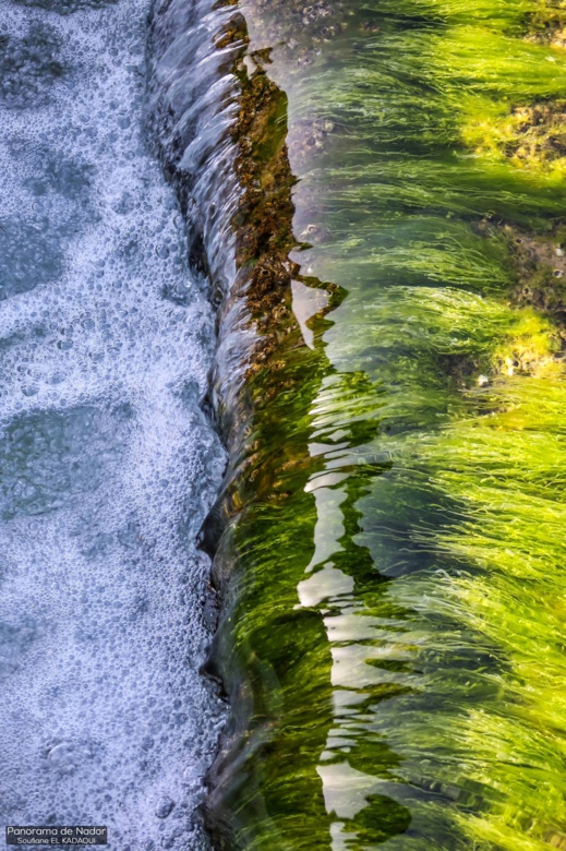 أجمل ما في الناظور.. إكتشفوا مناظر رائعة لمناطق متفرقة حول بحيرة مارتشيكا أجمل ما في الناظور.. إكتشفوا مناظر رائعة لمناطق متفرقة حول بحيرة مارتشيكا