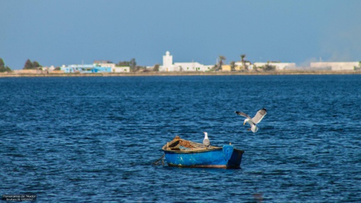 أجمل ما في الناظور.. إكتشفوا مناظر رائعة لمناطق متفرقة حول بحيرة مارتشيكا أجمل ما في الناظور.. إكتشفوا مناظر رائعة لمناطق متفرقة حول بحيرة مارتشيكا