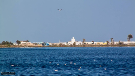 أجمل ما في الناظور.. إكتشفوا مناظر رائعة لمناطق متفرقة حول بحيرة مارتشيكا أجمل ما في الناظور.. إكتشفوا مناظر رائعة لمناطق متفرقة حول بحيرة مارتشيكا