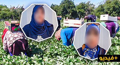 خطير.. نصاب يسلب أمولا طائلة من أزيد من 30 ناظورية بعد إيهامهن بتشغيلهن في إسبانيا خطير.. نصاب يسلب أمولا طائلة من أزيد من 30 ناظورية بعد إيهامهن بتشغيلهن في إسبانيا