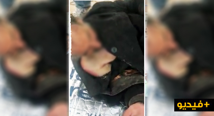 شاهدوا.. دود ينهش جسد متشرد في الشارع ومواطنون يتدخلون لانقاذه شاهدوا.. دود ينهش جسد متشرد في الشارع ومواطنون يتدخلون لانقاذه