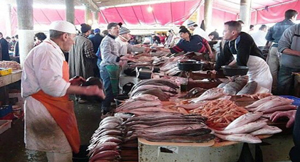 أسعار ساخنة تنتظر المغاربة في عز أيام حملة "خليه يريب" وسط دعوات لمقاطعة السمك خلال رمضان أسعار ساخنة تنتظر المغاربة في عز أيام حملة "خليه يريب" وسط دعوات لمقاطعة السمك خلال رمضان