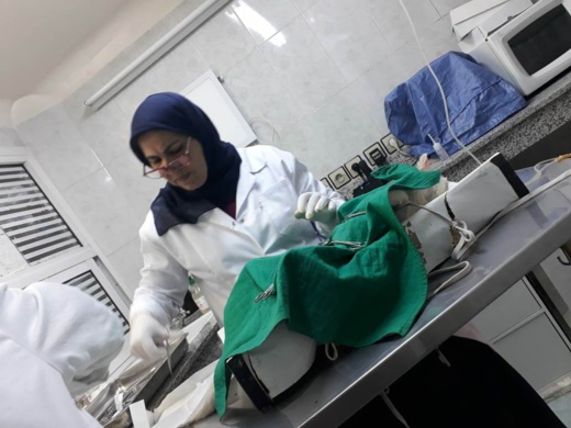 مشاركة ناظورية وازنة في حملة بيطرية وطنية لتعقيم الحيوانات الأليفة بعاصمة الشرق مشاركة ناظورية وازنة في حملة بيطرية وطنية لتعقيم الحيوانات الأليفة بعاصمة الشرق