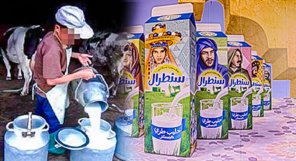شركة الحليب "سنطرال" تفرض شروطا تعجيزية على الفلاحين لتعويض خسائر المقاطعة شركة الحليب "سنطرال" تفرض شروطا تعجيزية على الفلاحين لتعويض خسائر المقاطعة