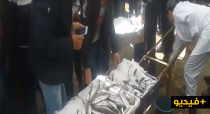 شاهدوا.. في إطار حملة "خليه يعوم" مواطنون يجبرون بائعي السمك على إرجاع سلعتهم إلى أربابها شاهدوا.. في إطار حملة "خليه يعوم" مواطنون يجبرون بائعي السمك على إرجاع سلعتهم إلى أربابها