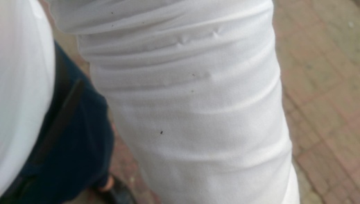 أسراب الناموس تجتاح مدينة الناظور بشكل غير مسبوق وسط تذمر عارم للساكنة أسراب الناموس تجتاح مدينة الناظور بشكل غير مسبوق وسط تذمر عارم للساكنة