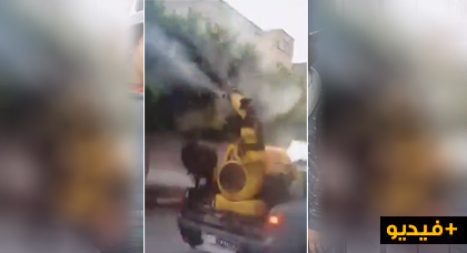 شاهدوا كيف تفاعل المجلس البلدي للناظور مع مطالب المواطنين بقيامه حملة ضد الحشرات شاهدوا كيف تفاعل المجلس البلدي للناظور مع مطالب المواطنين بقيامه حملة ضد الحشرات