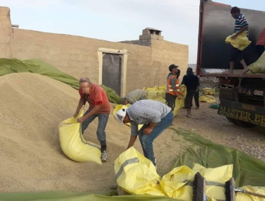 درك سلوان يفكك شبكة تسطو على الحبوب بميناء بني انصار ويحجز 43 طنا من القمح درك سلوان يفكك شبكة تسطو على الحبوب بميناء بني انصار ويحجز 43 طنا من القمح