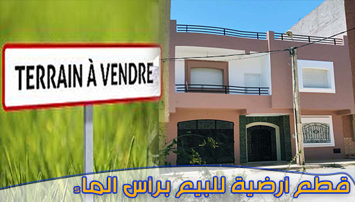الهمزة عند تجزئة الصالحي.. اقتنوا قطعا أرضية محفظة ومنزلا في رأس الماء بأثمنة جد مناسبة