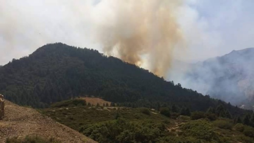 إندلاع حريق مهول بغابة الأرز باقليم الحسيمة والسلطات تعلن حالة إستنفار لمحاصرته إندلاع حريق مهول بغابة الأرز باقليم الحسيمة والسلطات تعلن حالة إستنفار لمحاصرته