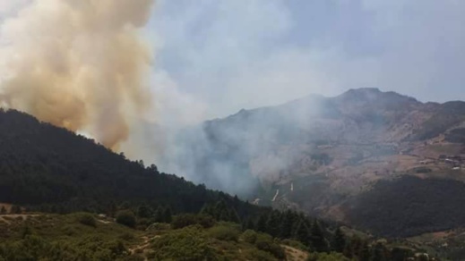 إندلاع حريق مهول بغابة الأرز باقليم الحسيمة والسلطات تعلن حالة إستنفار لمحاصرته إندلاع حريق مهول بغابة الأرز باقليم الحسيمة والسلطات تعلن حالة إستنفار لمحاصرته