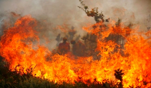 جهة الحسيمة ثانيا.. 78 حريقا التهم 111 هكتارا من الغابات منذ بداية السنة الجارية