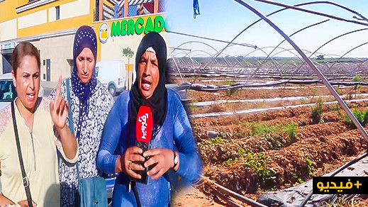 بالفيديو.. هذا ما قالته بعض العاملات المغربيات حول تعرضهن للتحرش بضيعات الفراولة الإسبانية بالفيديو.. هذا ما قالته بعض العاملات المغربيات حول تعرضهن للتحرش بضيعات الفراولة الإسبانية