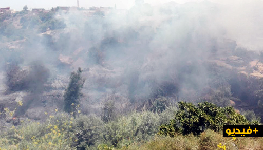 بالفيديو.. حريق مهول يلتهم مساحة واسعة من الأحراش والأشجار المثمرة بجماعة بودينار