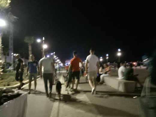 مواطنون يطالبون السلطات بمنع التجول بالكلاب في كورنيش الناظور مواطنون يطالبون السلطات بمنع التجول بالكلاب في كورنيش الناظور