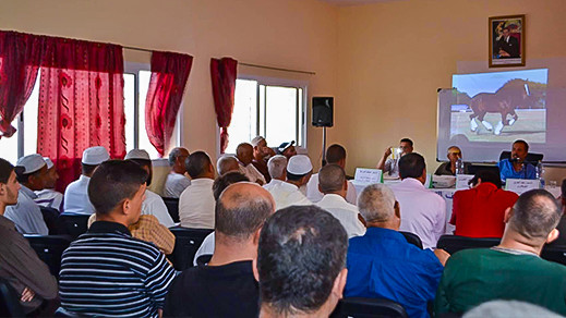 باحثون يقارعون "دور مركز أجنادة في مقاومة الاستعمار بالريف" بمناسبة ذكرى معركة أنوال باحثون يقارعون "دور مركز أجنادة في مقاومة الاستعمار بالريف" بمناسبة ذكرى معركة أنوال