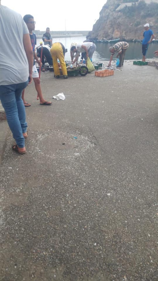 بالصور.. انهيار "تاريخي" لأسعار السردين وفائض مراكب الصيد بالحسيمة يوزع بالمجان بالصور.. انهيار "تاريخي" لأسعار السردين وفائض مراكب الصيد بالحسيمة يوزع بالمجان