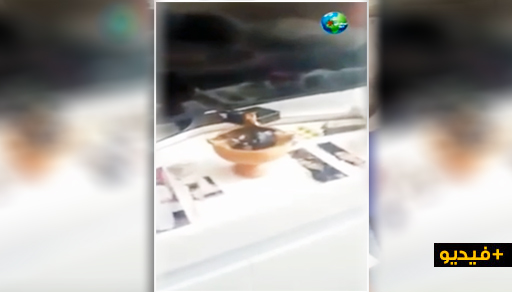 شاهدوا ما قامت به زوجة مهاجر مغربي مقيم بهولندا في منزلهما قبل هروبها إلى المغرب شاهدوا ما قامت به زوجة مهاجر مغربي مقيم بهولندا في منزلهما قبل هروبها إلى المغرب
