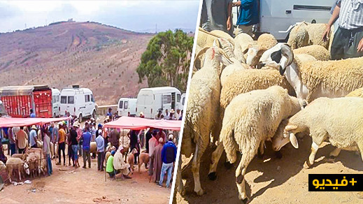 ربورتاج: أضاحي العيد بسوق خميس تمسمان.. العرض موجود والغلاء فاحش