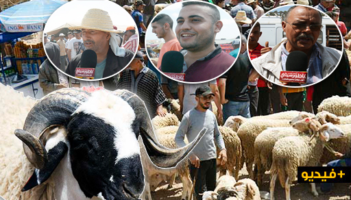 روبورطاج: إقبال كبير على سوق المواشي بسلوان وتضارب الأراء حول أثمنة الأضاحي روبورطاج: إقبال كبير على سوق المواشي بسلوان وتضارب الأراء حول أثمنة الأضاحي
