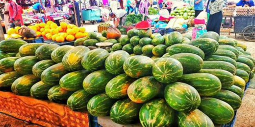 وزارة الصحة تنفي تسجيل اصابة بـ"الكوليرا" في الناظور و تتبرأ من دورية "الدلاح ومياه الروبيني" وزارة الصحة تنفي تسجيل اصابة بـ"الكوليرا" في الناظور و تتبرأ من دورية "الدلاح ومياه الروبيني"