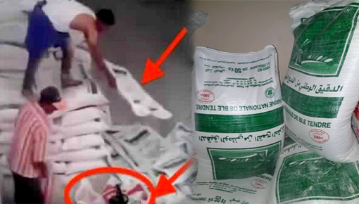 الدريوش.. الدرك الملكي يداهم محلاً سرياً لتزوير مصدر الدقيق المدعم بعين زورة الدريوش.. الدرك الملكي يداهم محلاً سرياً لتزوير مصدر الدقيق المدعم بعين زورة