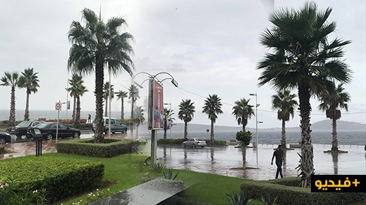 بالصور والفيديو.. هطول أولى الزخات المطرية بالناظور والنواحي