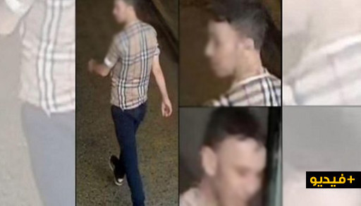 شاهدوا.. مهاجر يخطف حقيبة يد لمسنة بلجيكية والشرطة تبحث عنه 