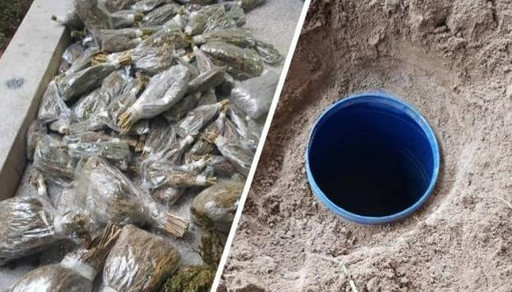 صورة.. توقيف "بزناس" يخفي مخدرات داخل أوعية بلاستكية مطمورة في التراب صورة.. توقيف "بزناس" يخفي مخدرات داخل أوعية بلاستكية مطمورة في التراب