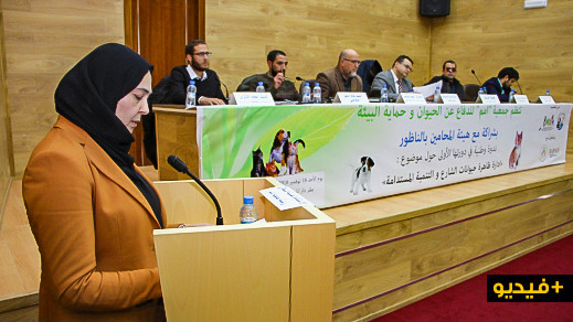 الناظور.. "ادارة ظاهرة حيوانات الشارع والتنمية المستدامة" موضوع ندوة وطنية بدار المحامي